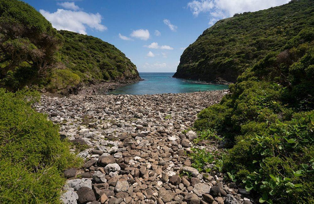 فيلا أراجيلا لودج Lord Howe Island المظهر الخارجي الصورة