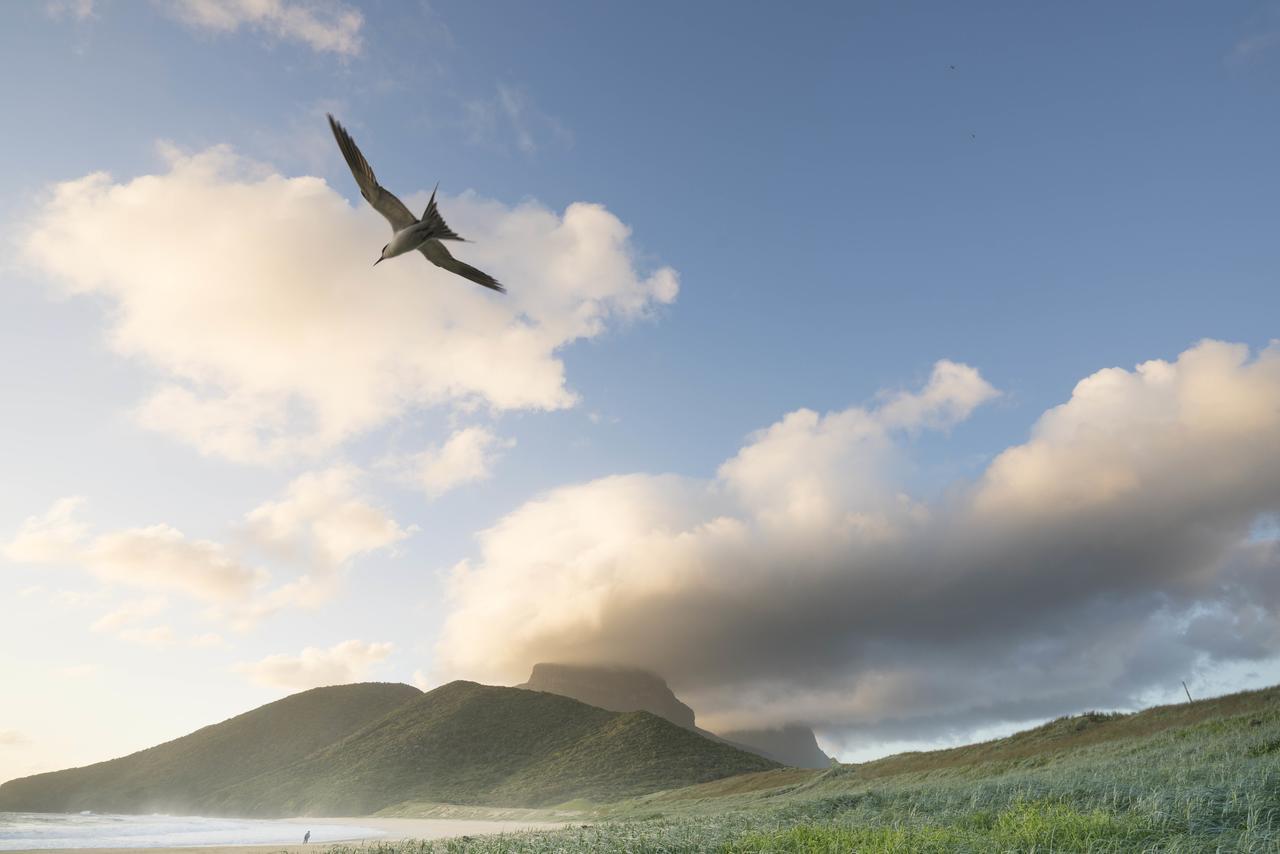 فيلا أراجيلا لودج Lord Howe Island المظهر الخارجي الصورة
